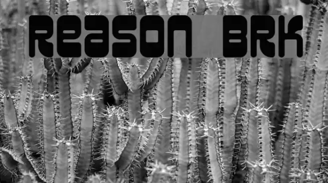 Reason BRK Font examples