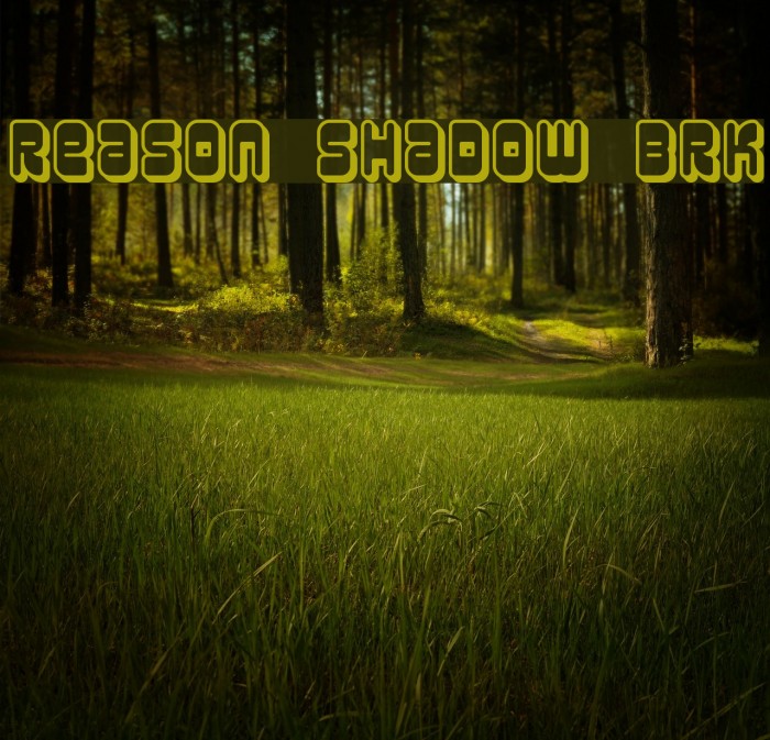 Reason Shadow BRK フォント examples