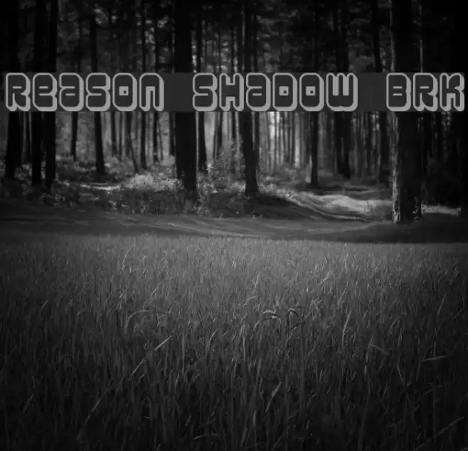 Reason Shadow BRK Font examples