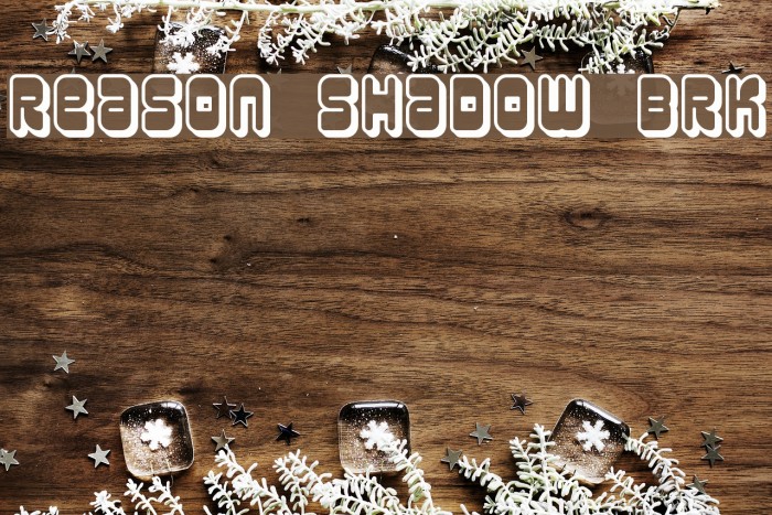 Reason Shadow BRK フォント examples