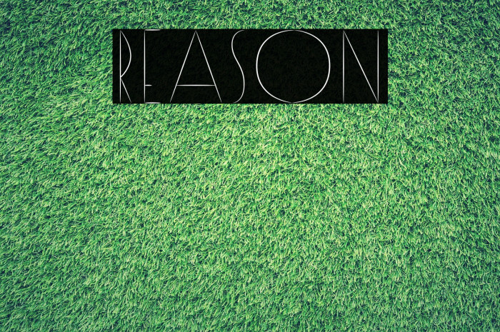 Reason Font examples