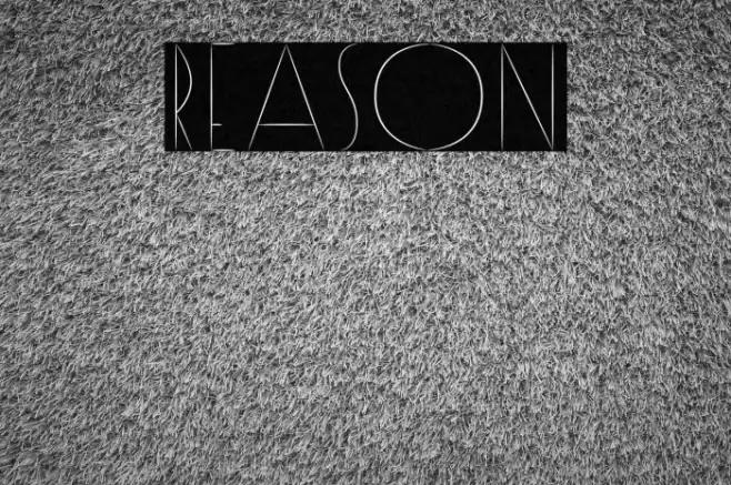 Reason Font examples