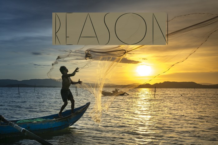 Reason Font examples