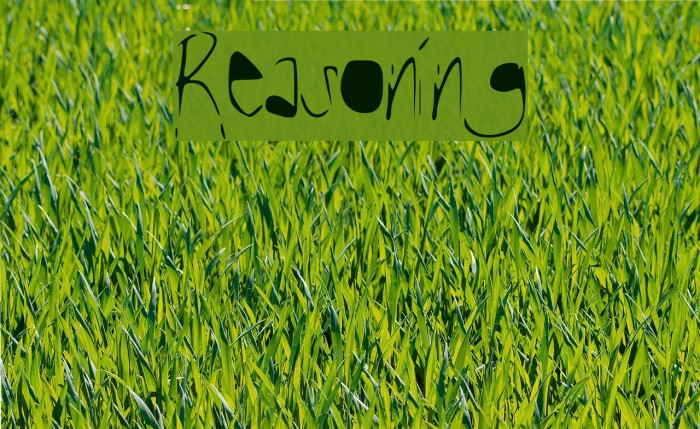 Reasoning Font examples