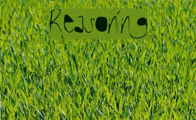 Reasoning Example 1
