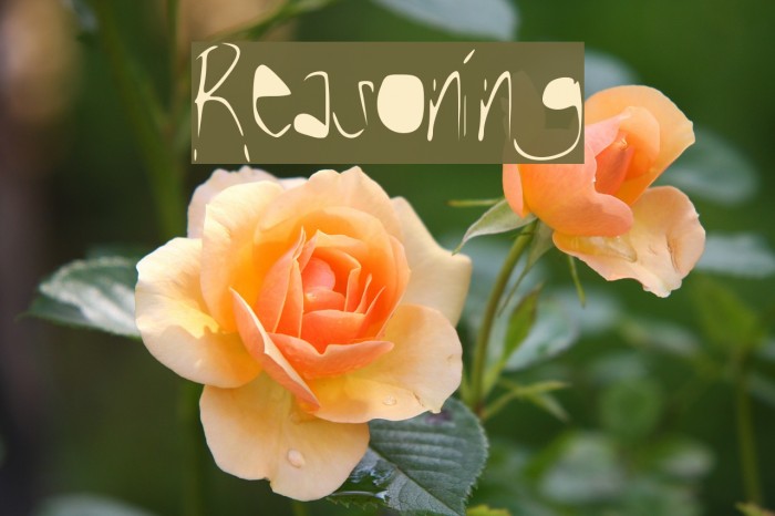 Reasoning Font examples