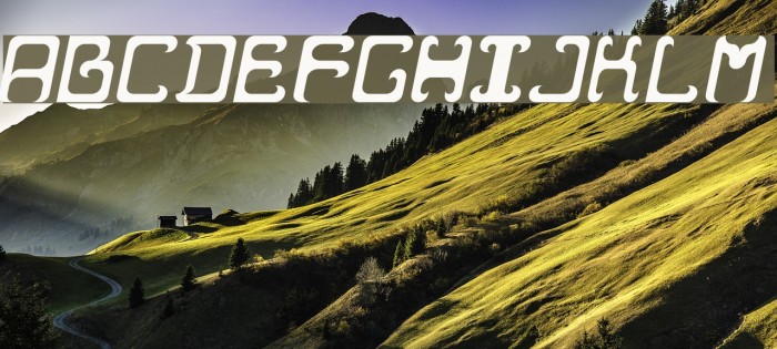 Reaver Italic Font examples
