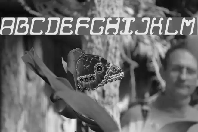 Reaver Italic Font examples