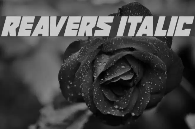 Reavers Italic Font examples