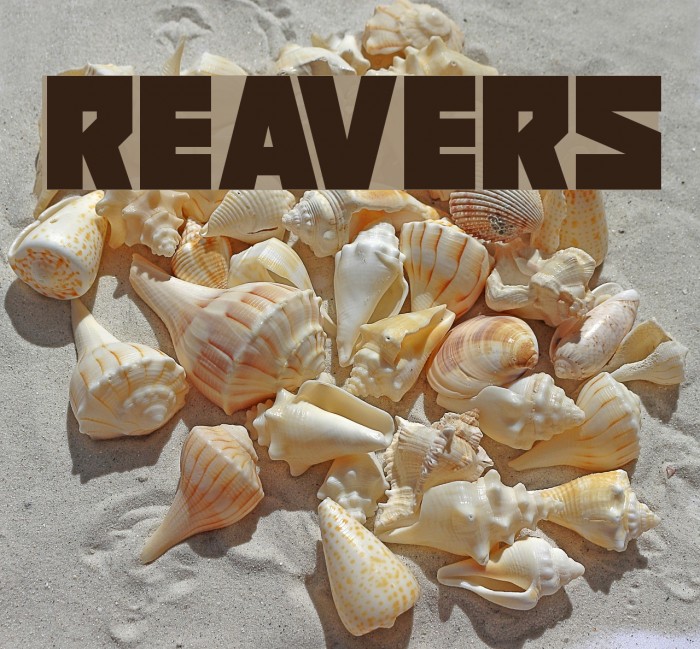 Reavers Font examples