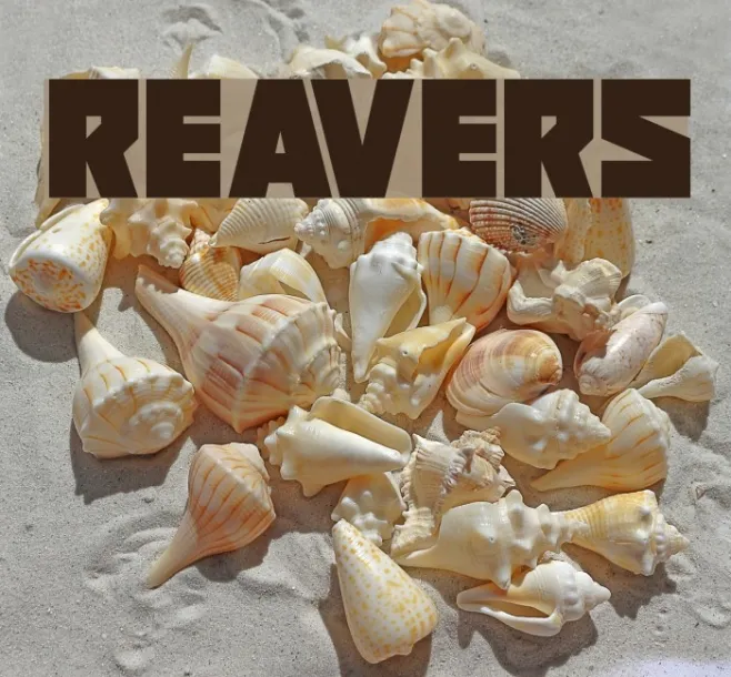 Reavers Example 1