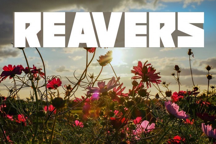 Reavers Font examples