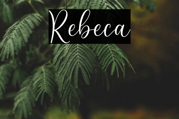 Rebeca Example 1