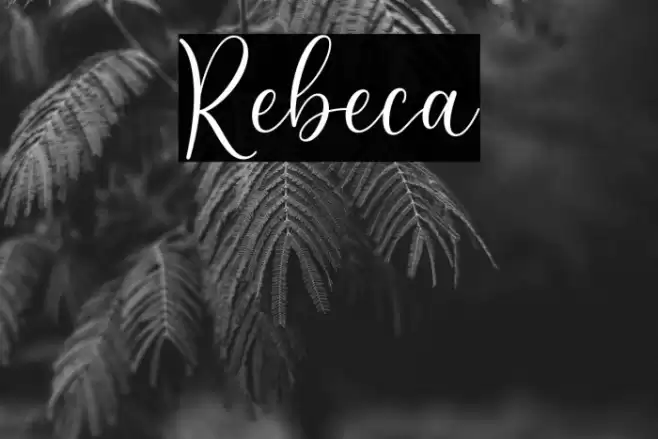Rebeca Font examples