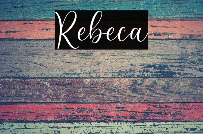 Rebeca Example 2
