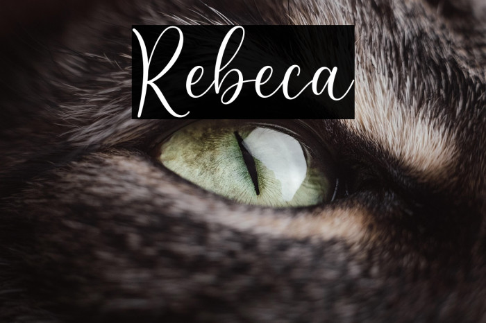 Rebeca Example 3