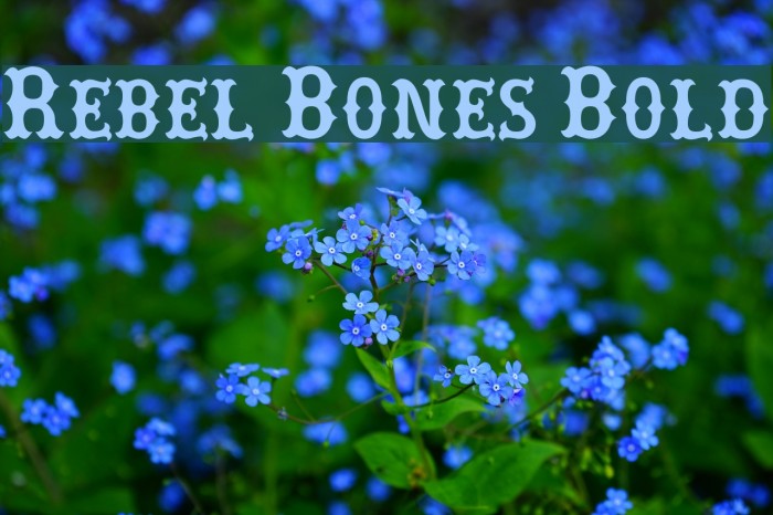 Rebel Bones Bold Font examples