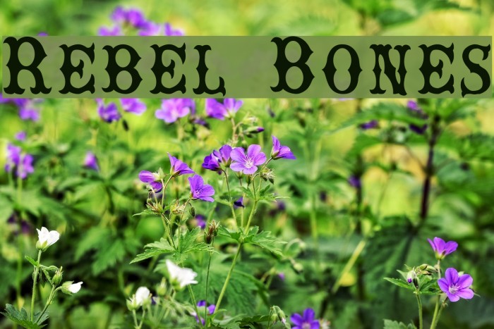 Rebel Bones Font examples