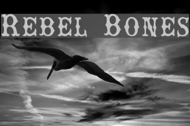 Rebel Bones Font examples