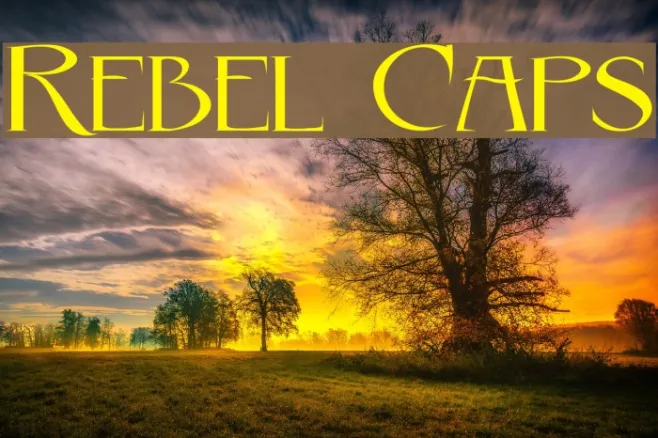 Rebel Caps Example 1