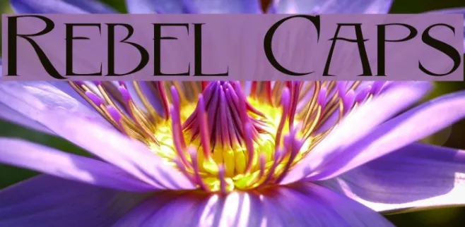 Rebel Caps Example 2