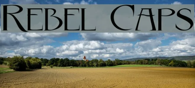 Rebel Caps Example 3