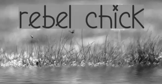 Rebel Chick Font examples
