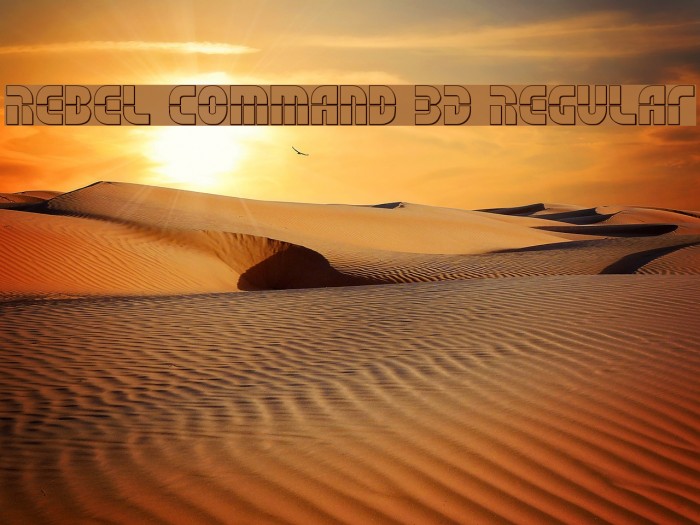 Rebel Command 3D Regular Example 1