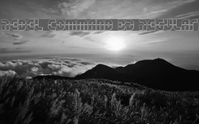 Rebel Command 3D Regular Font examples