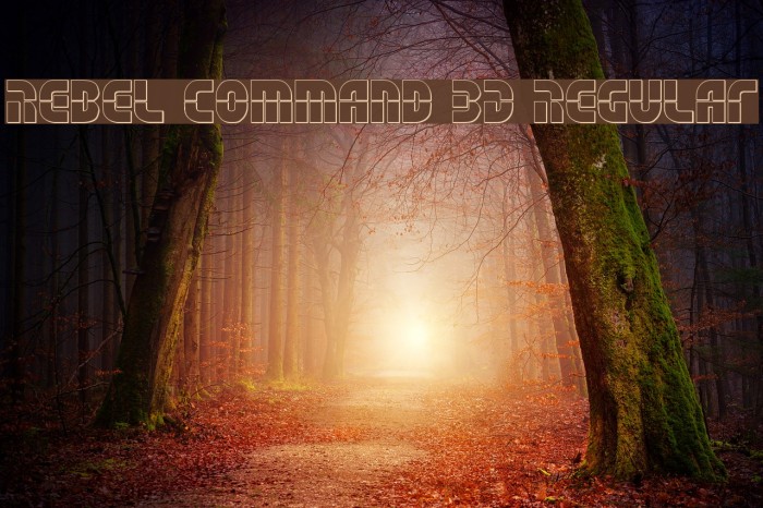 Rebel Command 3D Regular Example 3