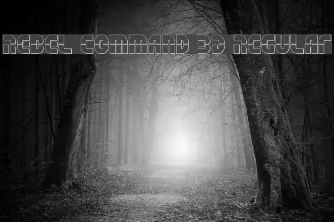 Rebel Command 3D Regular Font examples