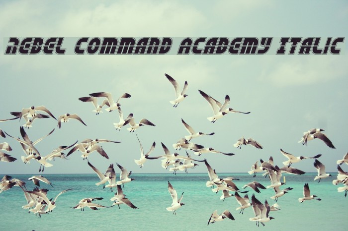 Rebel Command Academy Italic Font examples