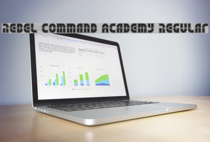 Rebel Command Academy Regular Example 1