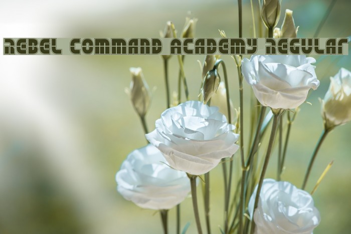 Rebel Command Academy Regular Example 3