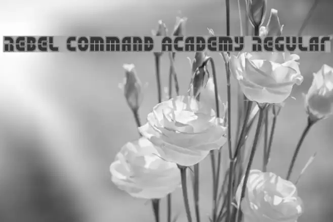 Rebel Command Academy Regular Font examples