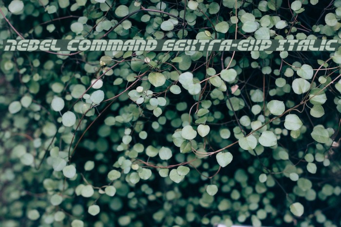 Rebel Command EExtra-exp Italic Font examples