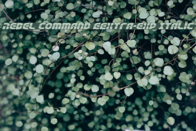 Rebel Command EExtra-exp Italic Example 1