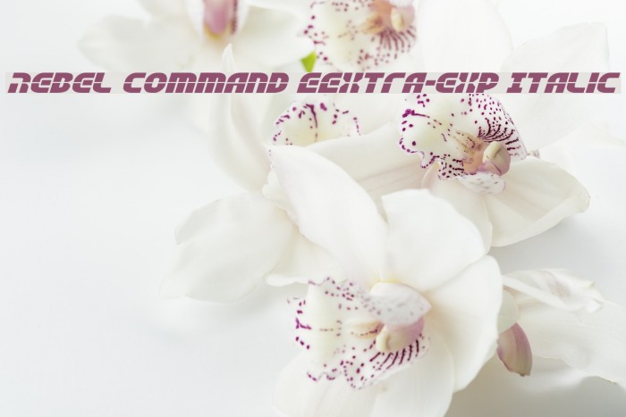 Rebel Command EExtra-exp Italic Font examples