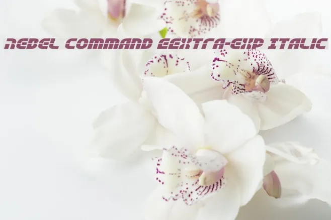 Rebel Command EExtra-exp Italic Example 2