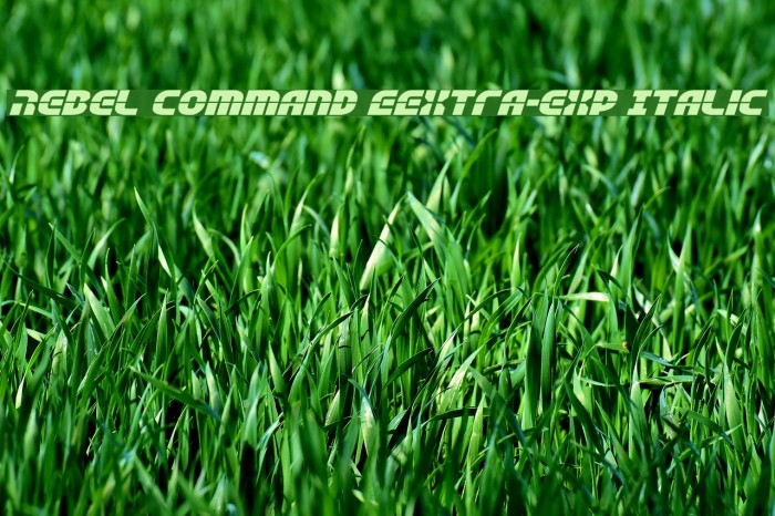 Rebel Command EExtra-exp Italic Font examples