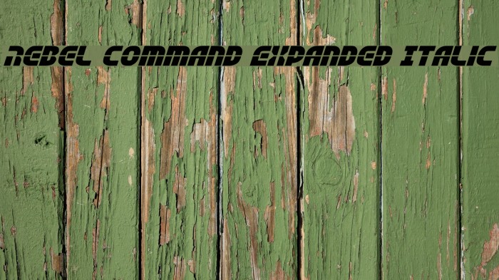 Rebel Command Expanded Italic Example 1