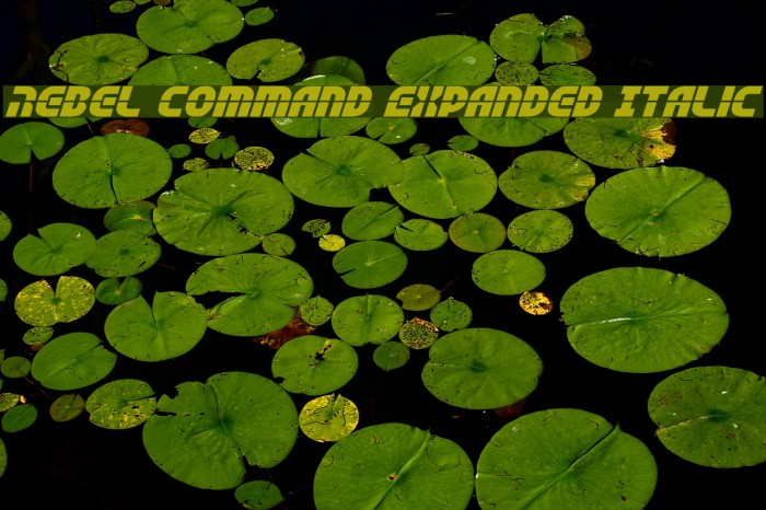 Rebel Command Expanded Italic Example 3