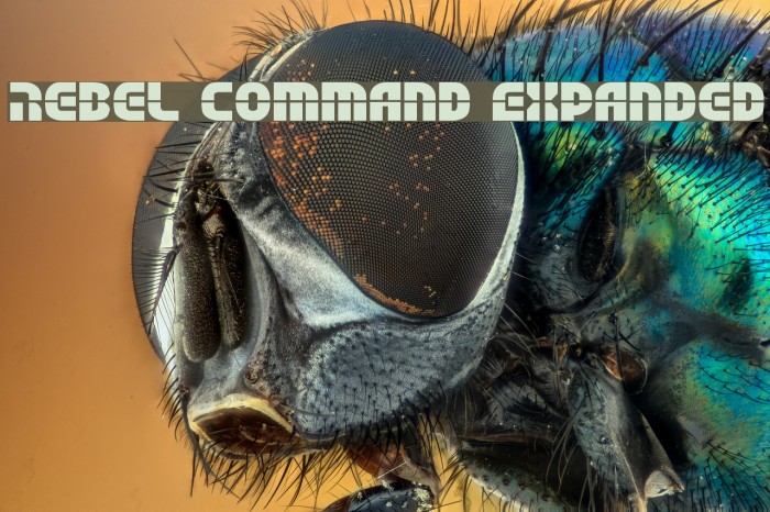 Rebel Command Expanded Example 2