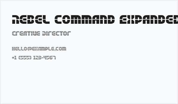 Rebel Command Expanded Business Card