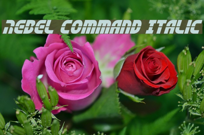 Rebel Command Italic Font examples