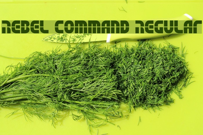 Rebel Command Regular Example 1