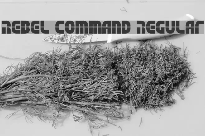 Rebel Command Regular Font examples