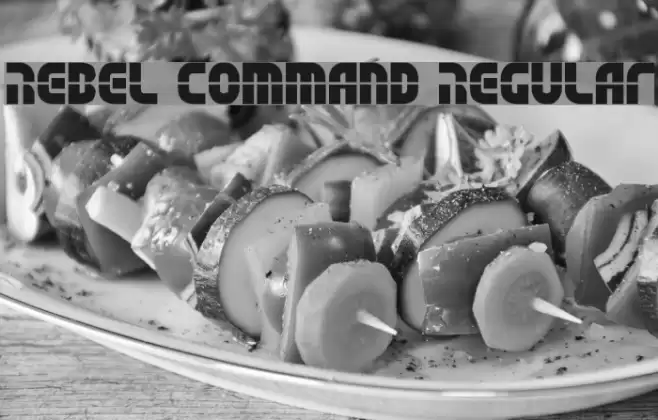 Rebel Command Regular Font examples