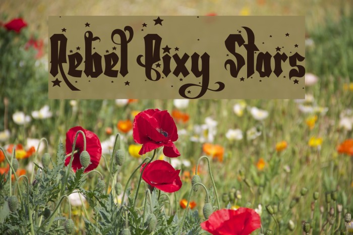Rebel Pixy Stars Font examples