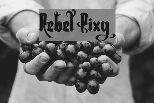 Rebel Pixy Font examples